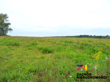 Działka budowlana Zabór