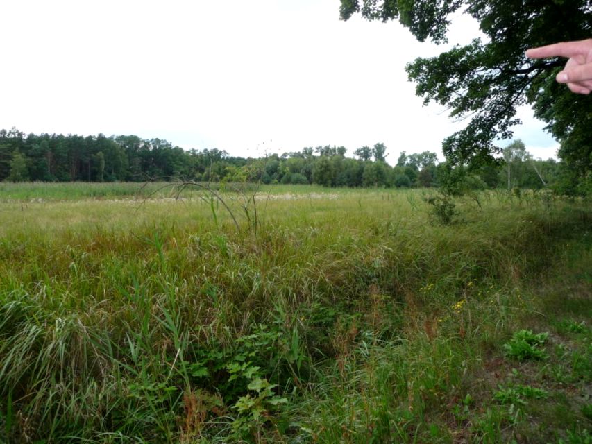 Działka budowlana Dychów