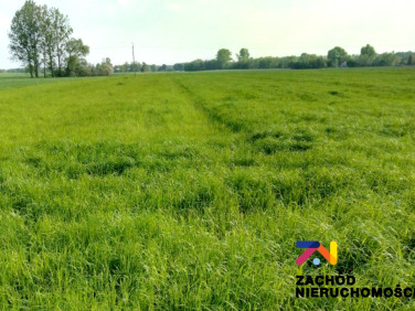 Działka budowlana Czasław