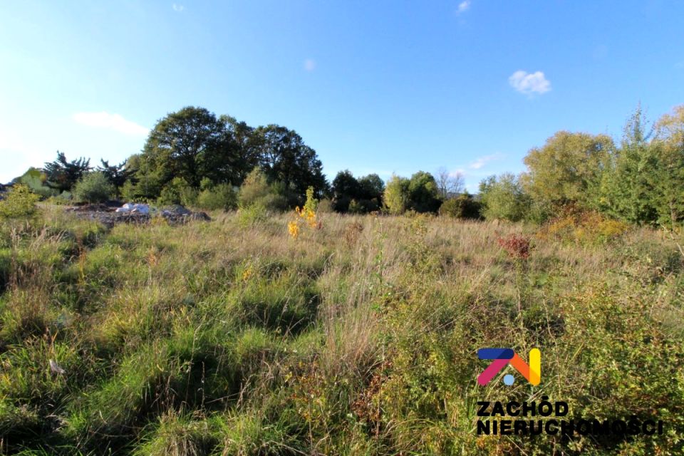 Działka rolna Nowogród Bobrzański