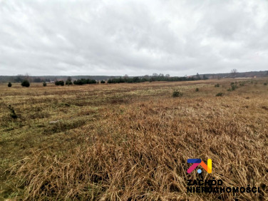 Działka budowlana Czarna sprzedam