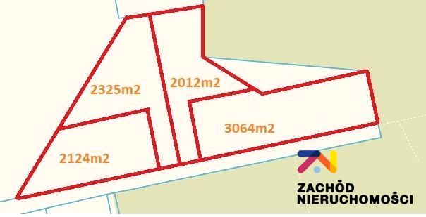 Zdjęcie 2