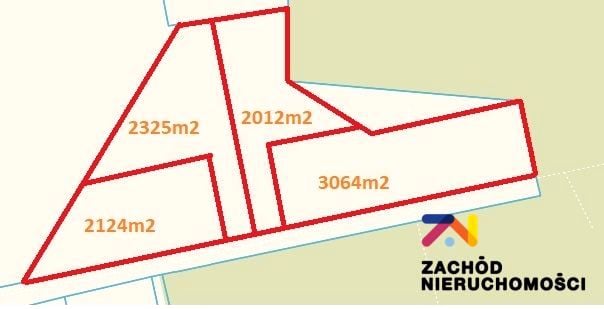 Zdjęcie 2
