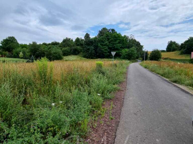 Działka budowlano-rolna Chwaliszów