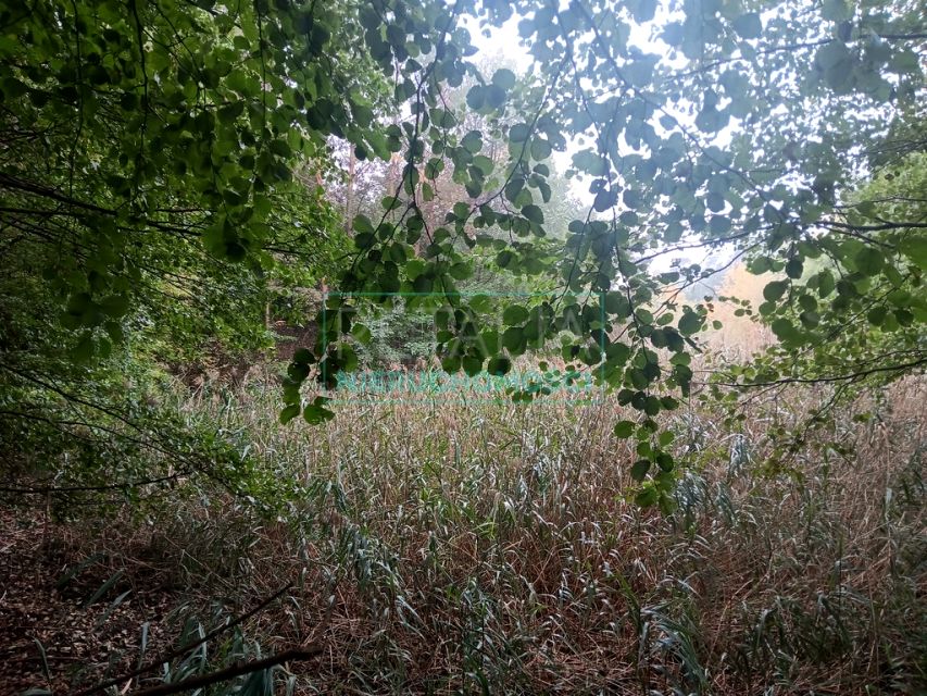 Działka budowlana sprzedam