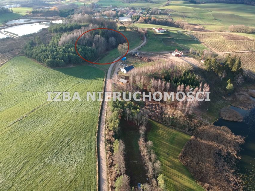 Działka rolna Szarejki