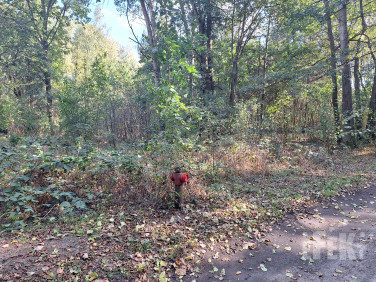 Działka budowlana Franciszków