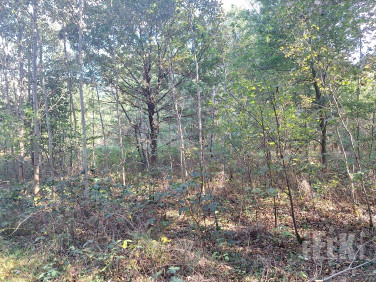 Działka budowlana Franciszków sprzedam