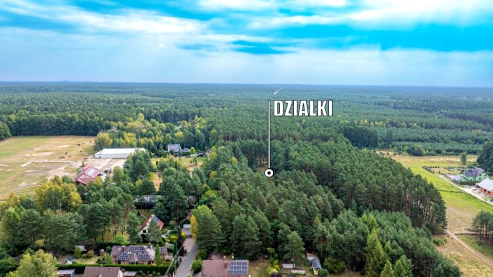 Zdjęcie 2
