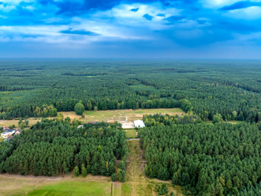 Działka leśna Nowa Wieś Tworoska