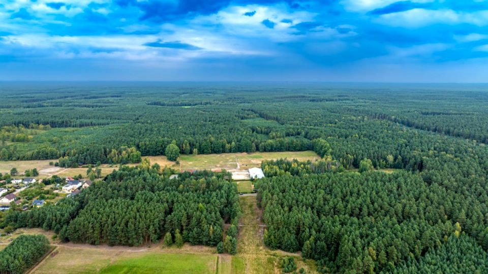 Działka leśna Nowa Wieś Tworoska