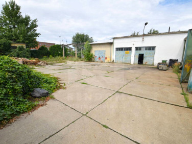 Budynek użytkowy Kędzierzyn-Koźle