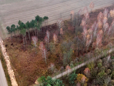 Działka siedliskowa Chraboły