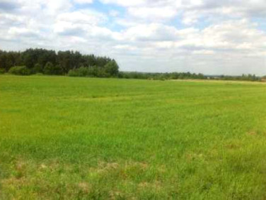 Działka rolna Radwanów