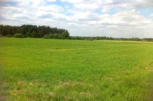 Działka rolna Radwanów