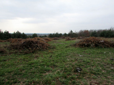 Działka budowlana Świdnica