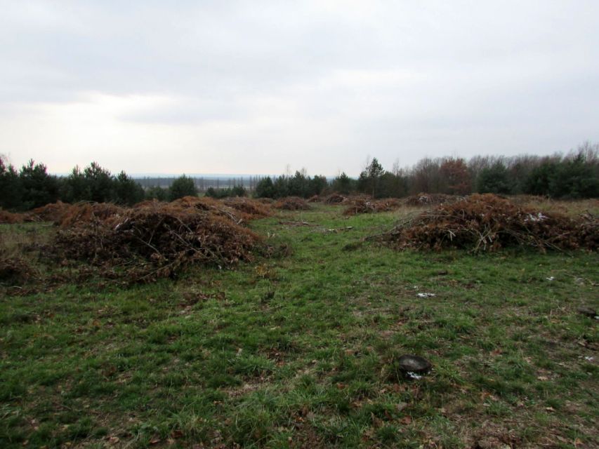 Działka budowlana Świdnica