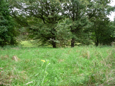 Działka budowlana Dychów