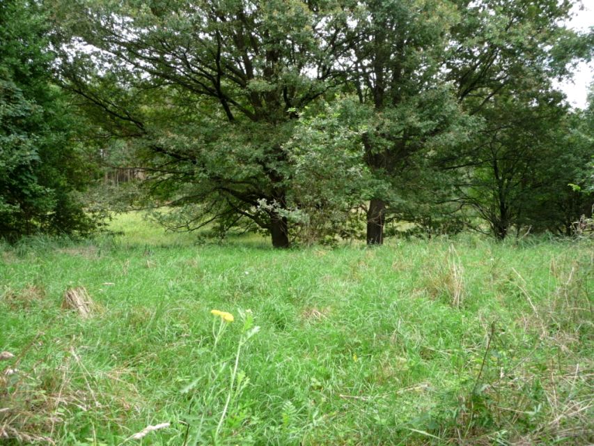 Działka budowlana Dychów