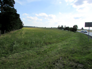 Działka rolna Nowogród Bobrzański