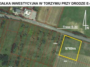 Działka budowlana Torzym