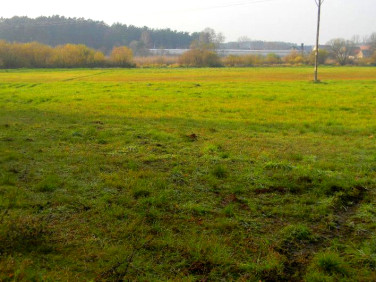 Działka inna Grójec Mały