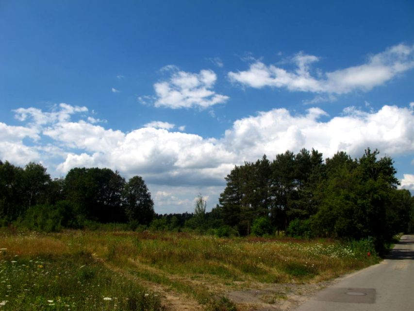 Działka rolna Zielona Góra