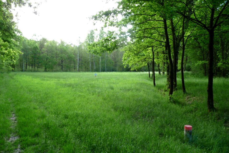 Działka rolna Świdnica