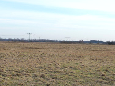 Działka rolna Lubsko