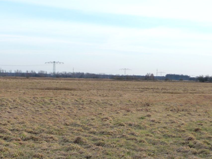 Działka rolna Lubsko