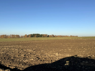 Działka inwestycyjna Dąbrówka Wielka