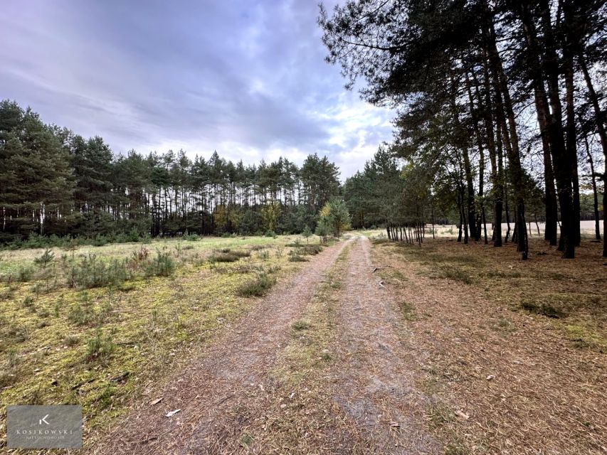 Działka Zmyślona Ligocka