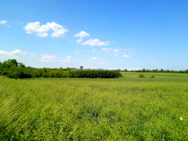Działka budowlana Ostrowy Baranowskie