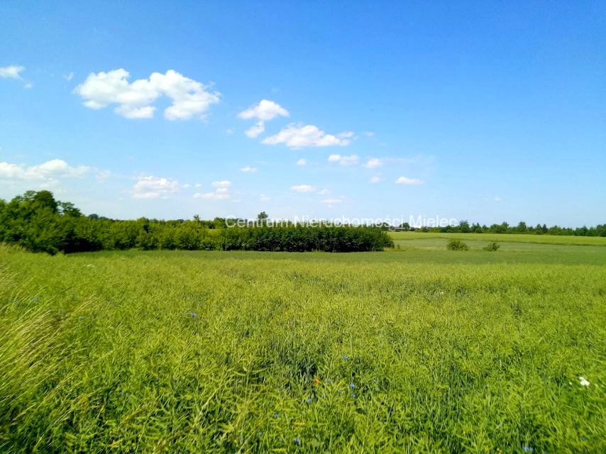 Działka budowlana Ostrowy Baranowskie
