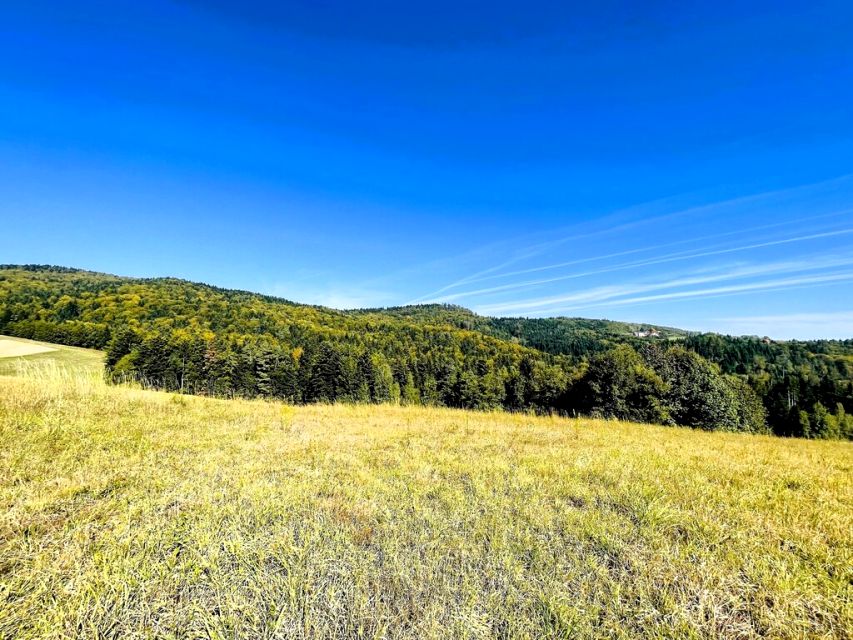 Działka rolna Żurowa