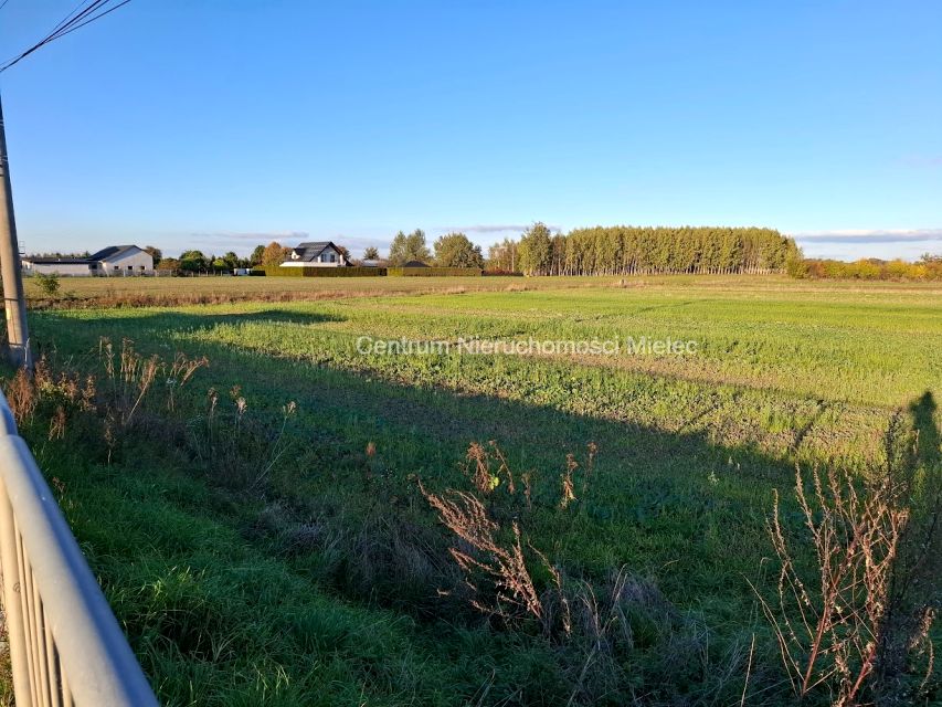 Działka budowlana Trzciana