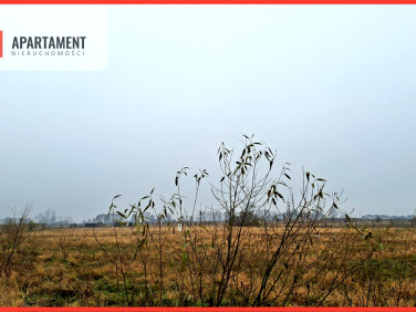 Działka inna Olimpin