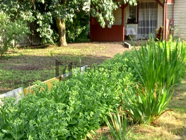 Działka rolna Gościewicz sprzedam