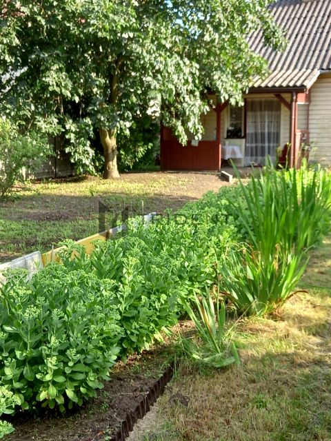 Działka rolna Gościewicz sprzedam