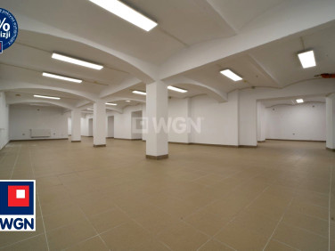 Lokal Legnica wynajem