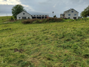 Działka rolna Udryn