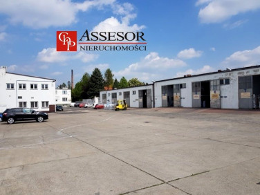 Budynek użytkowy Kalisz sprzedaż