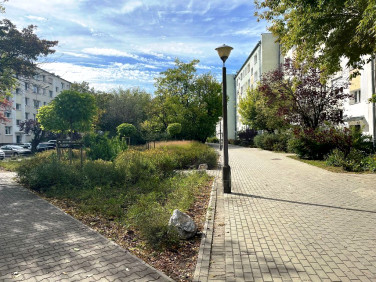 Mieszkanie Poznań sprzedaż