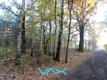 Działka rolna Mikołów