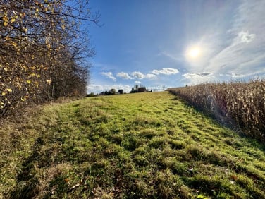 Działka Rudzica