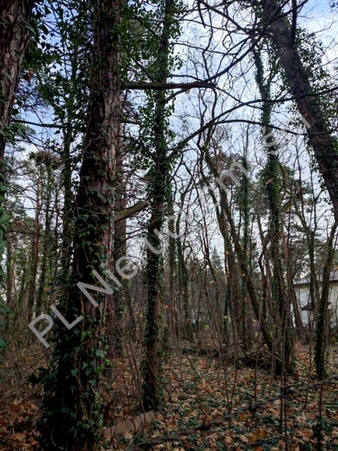 Działka budowlana Milanówek