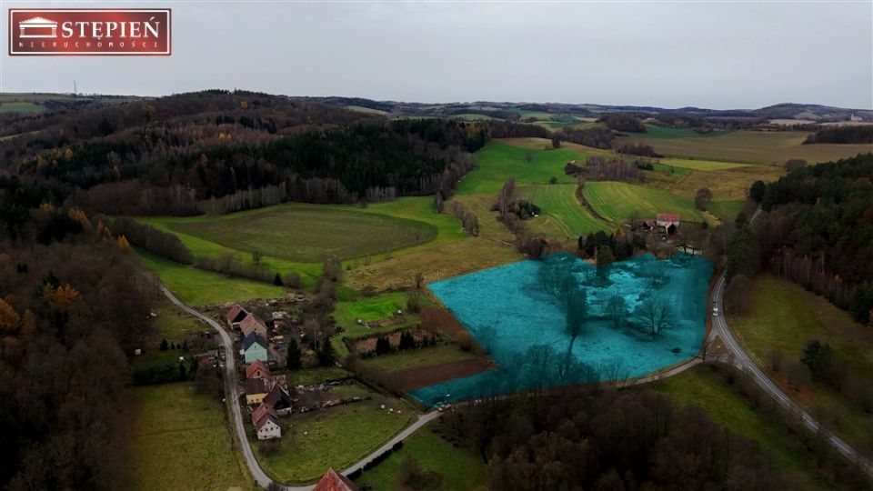 Zdjęcie 3