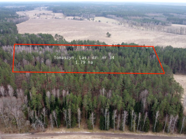 Działka leśna Tomaszyn