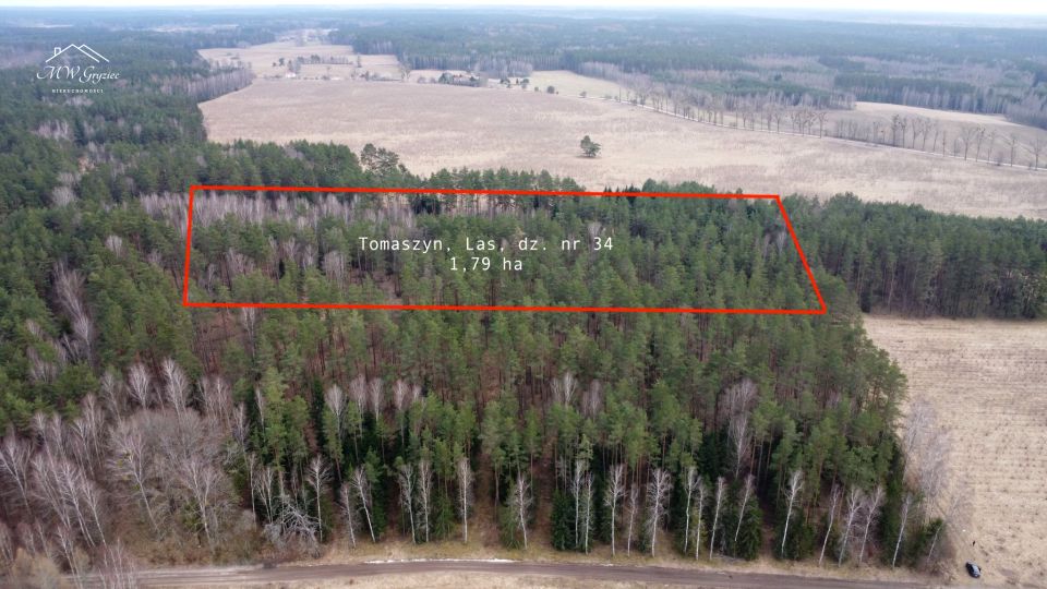 Działka leśna Tomaszyn