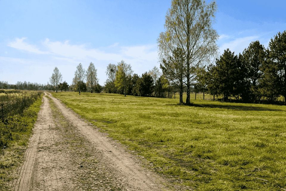 Działka Jesionka